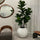 White Globe Vase 30