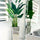 Medium stainless steel cube vase with Bird of Paradise (7′)