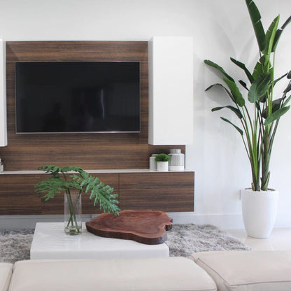Bird of Paradise Plant (2.7 m) with Ben Planter in Glossy White