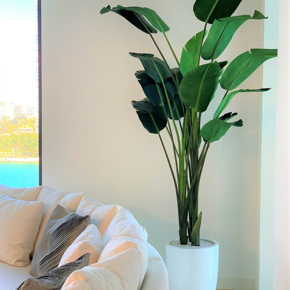 2.74 m Paradise Bird with Ben Pot in Glossy White
