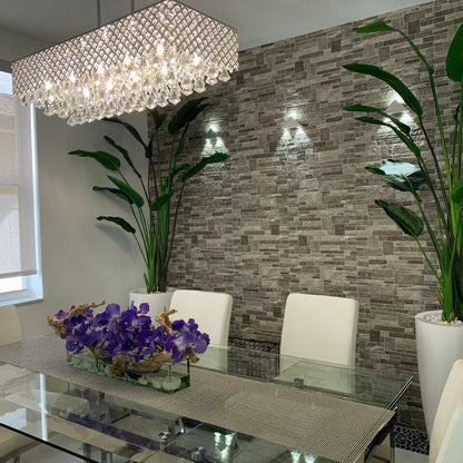 2.1 m Bird of Paradise Plant with Dax L Pot