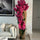 Large Teak Wood Vase with Natural Edges and Pink Vanda Orchids
