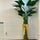 Golden Prism Planter with Bird of Paradise Plant (2.1 m)