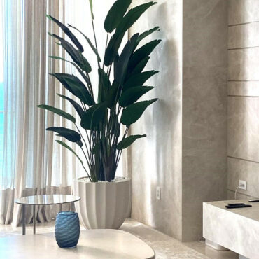 Santa Barbara Planter Pot in Matte Beige with Bird of Paradise Plant
